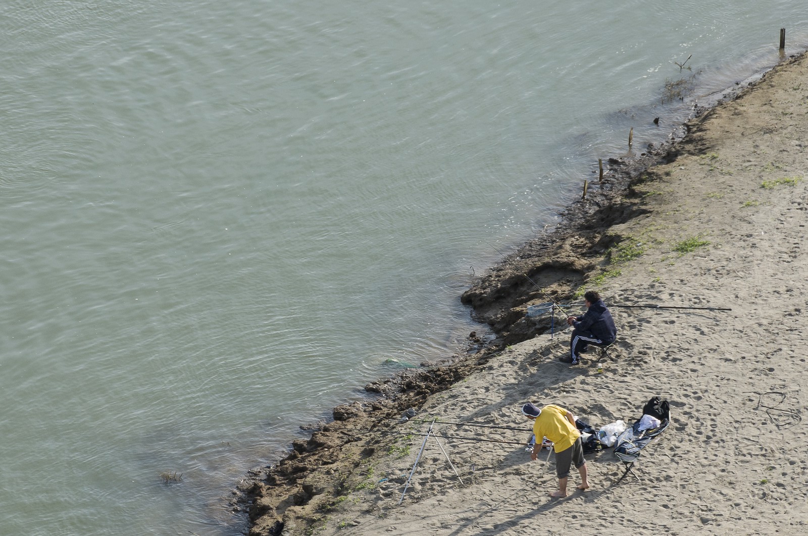 Pêche dans le Tibre