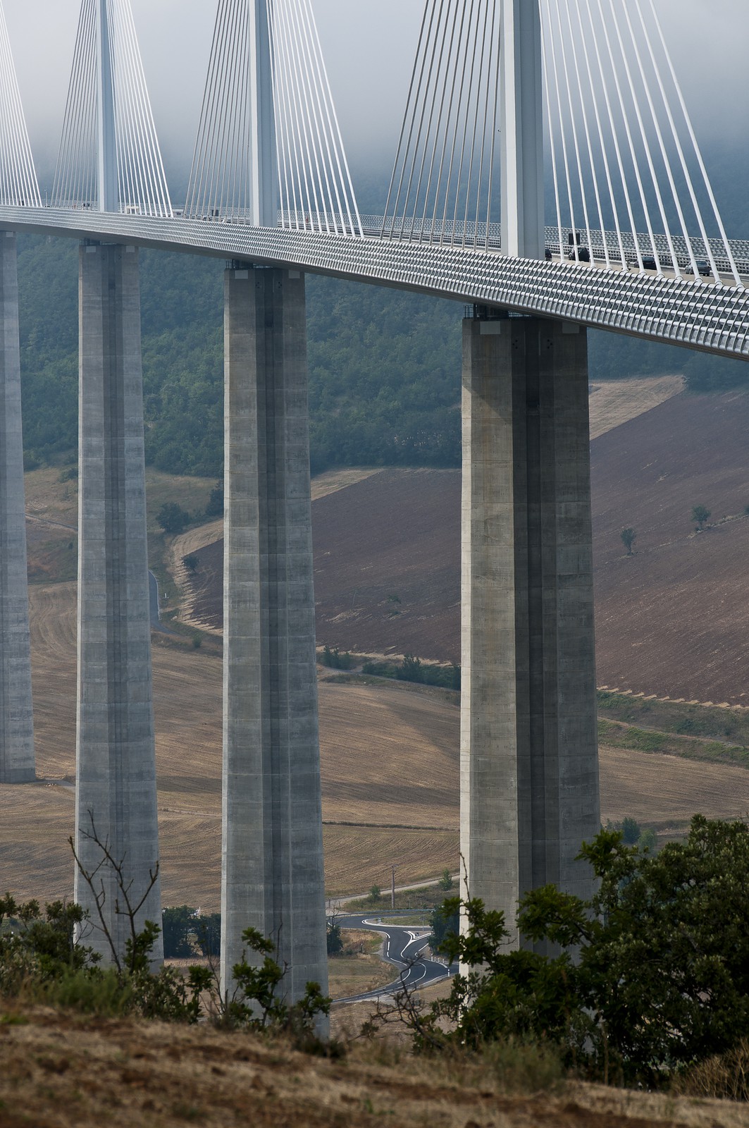 Viaduc de Millau