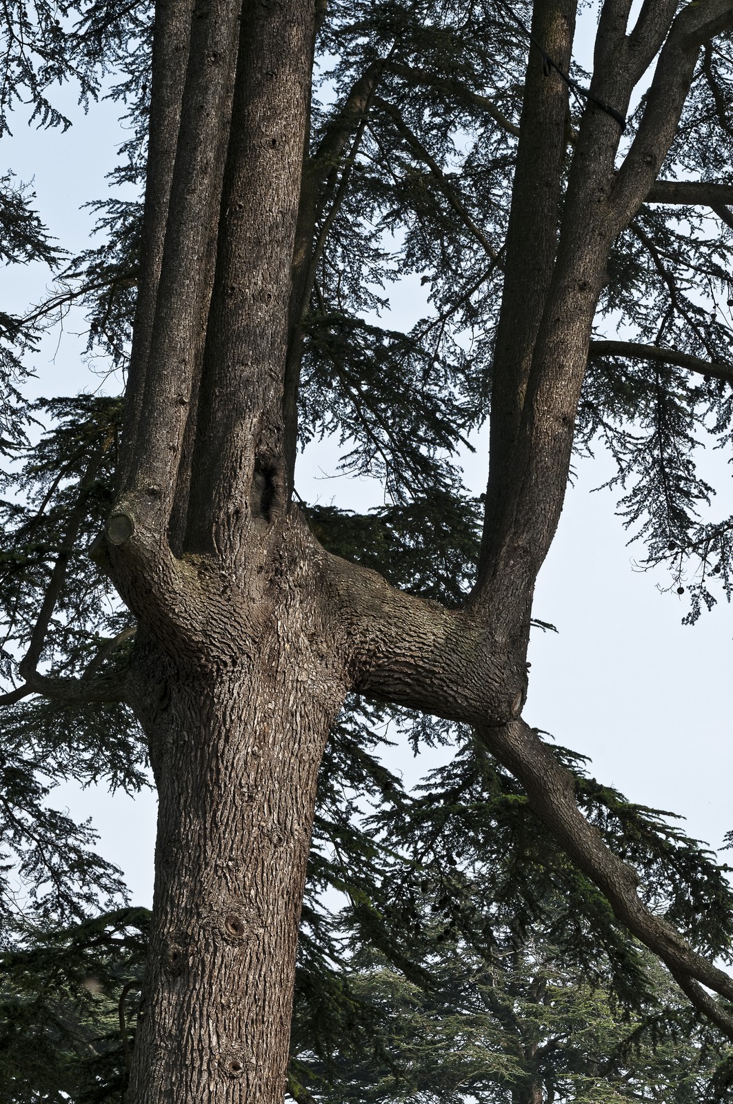 Château de Chaumont, le parc