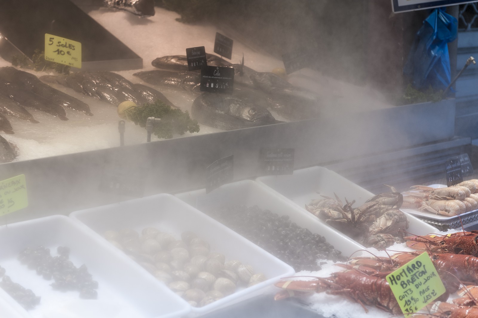 Etal de poissonnerie