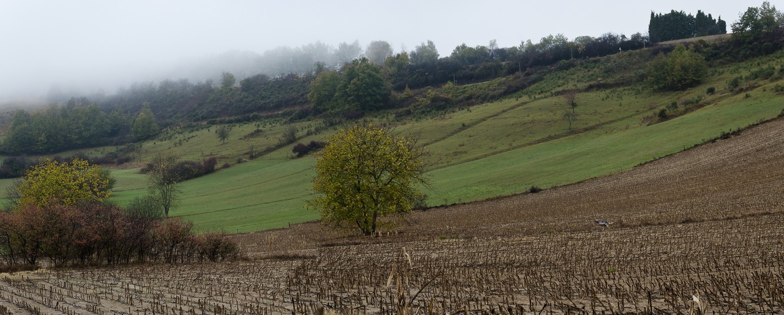 Paysage en Ariège