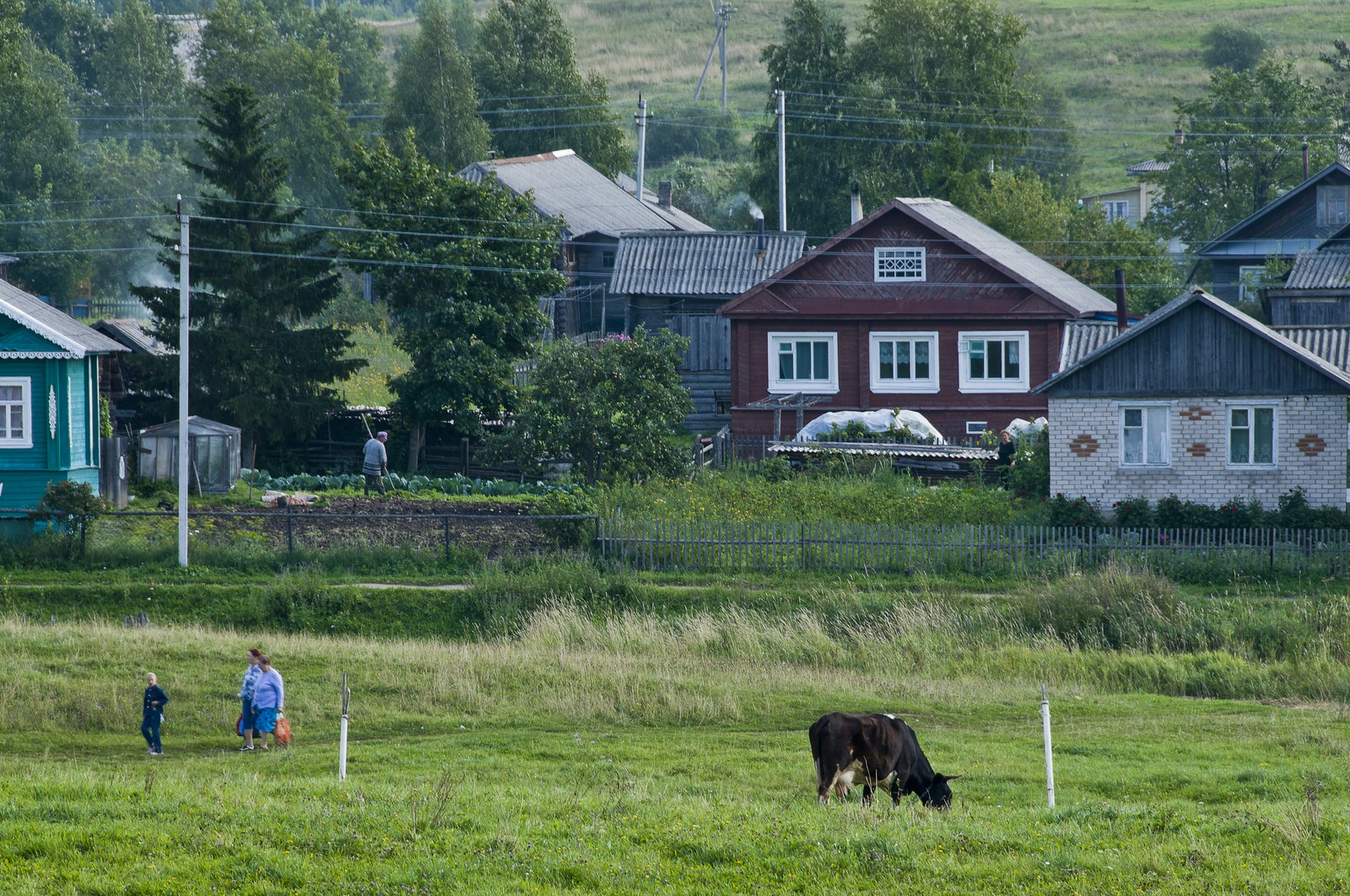 Le village de Goritsy